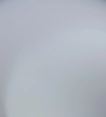 태식