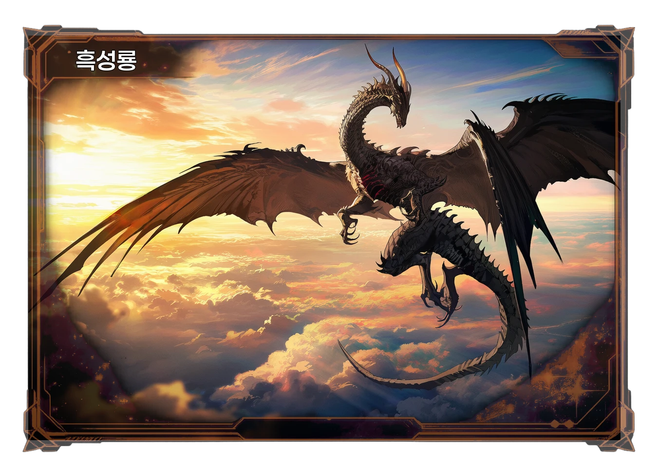 흑성룡