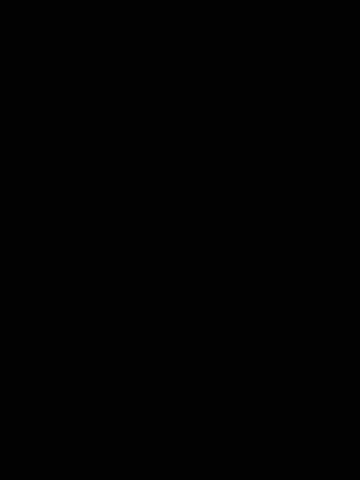 무일푼